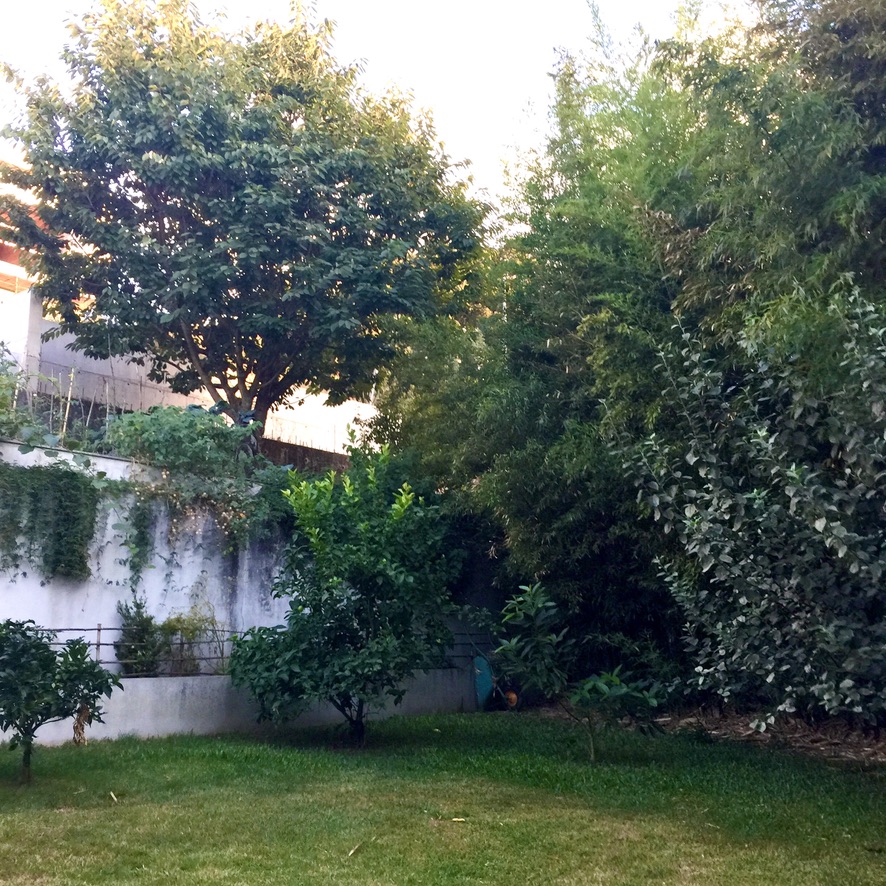 Photograph of a Garden - Braga Rooftop (RUG)