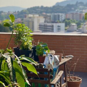 RUG Terraço Rooftop