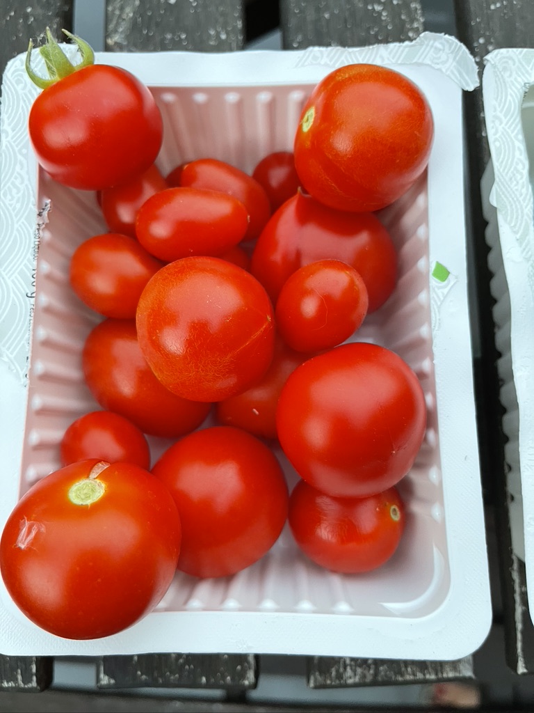 Rooftop crop - Cherry tomatoes (RUG)