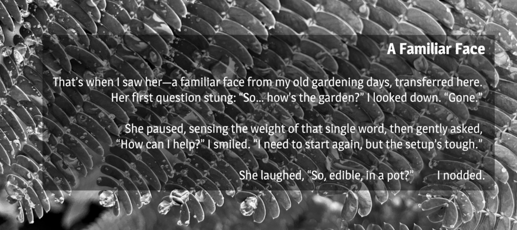 RUG blog banner - familiar face