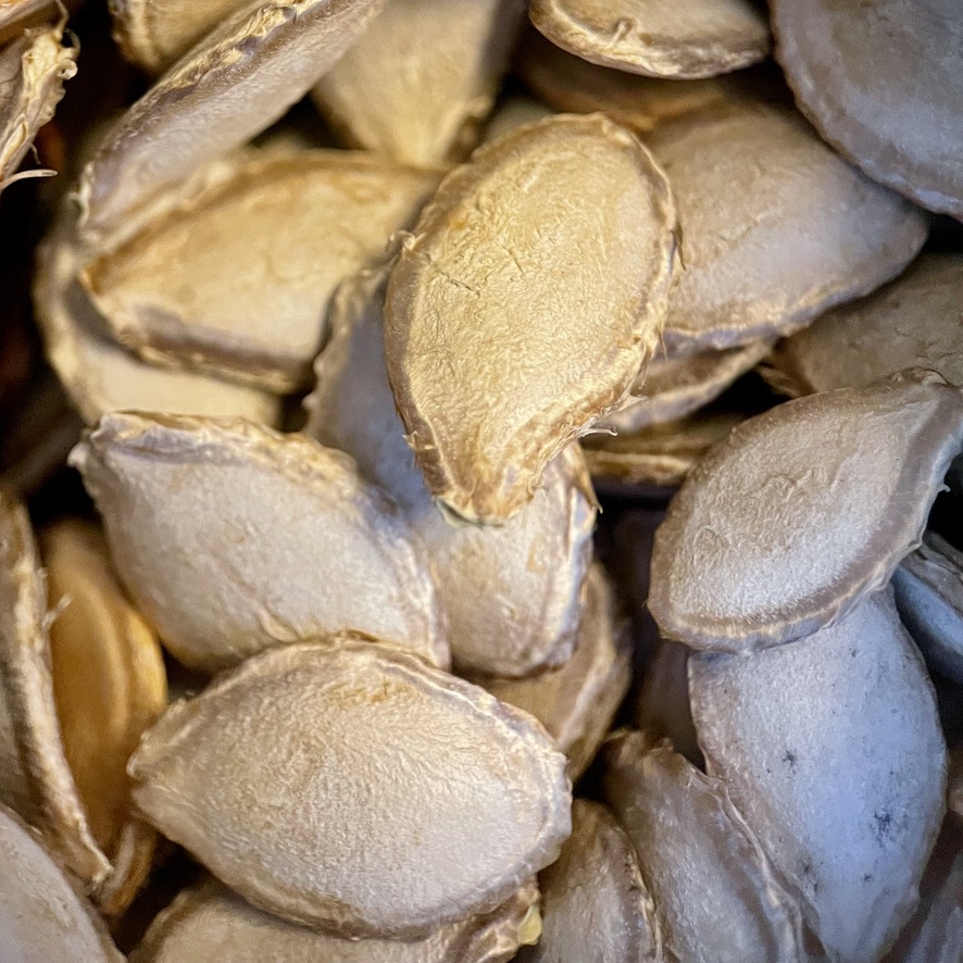 RUG Dry Pumpkin Seeds