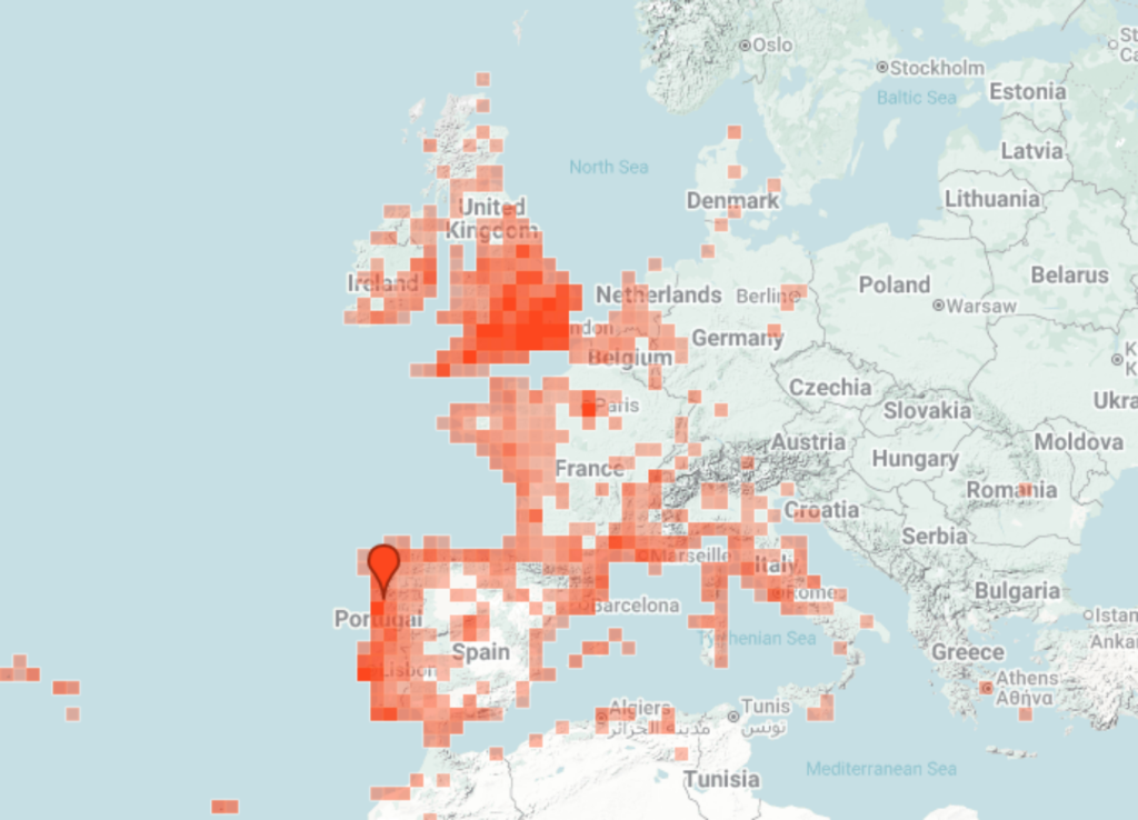 False widow spider -Steatoda nobilis -European distribution
