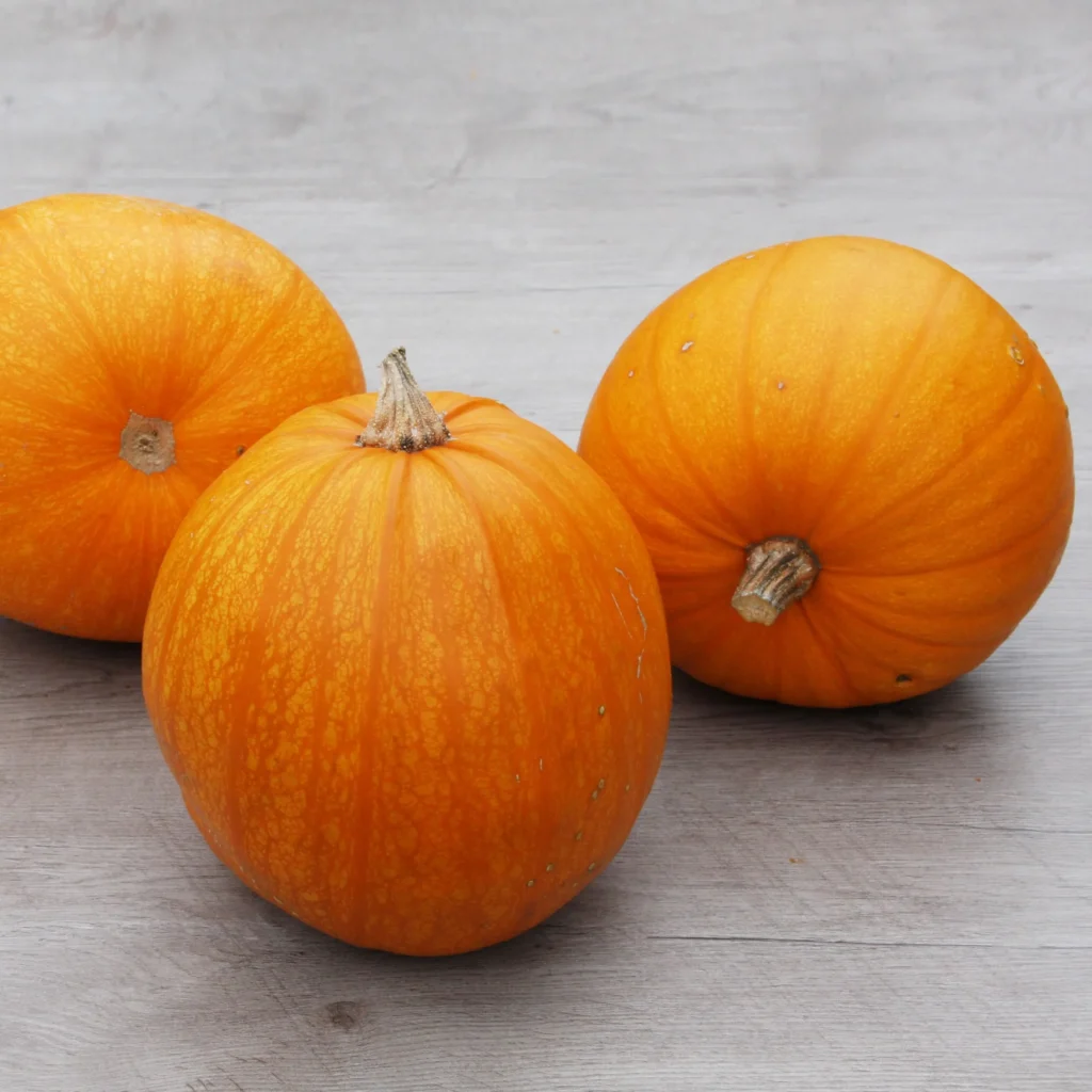 rug post 14 heirloom banner jack olantern.jpg