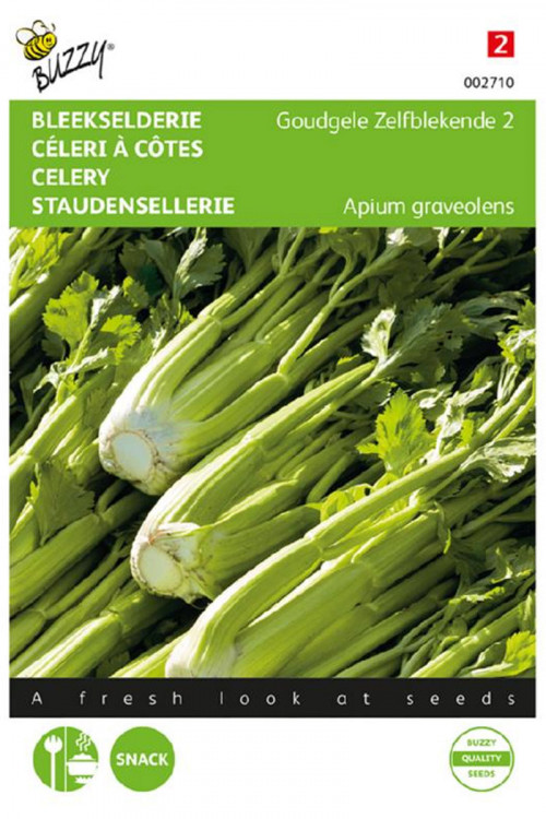 rug post 14 heirloom celery banner