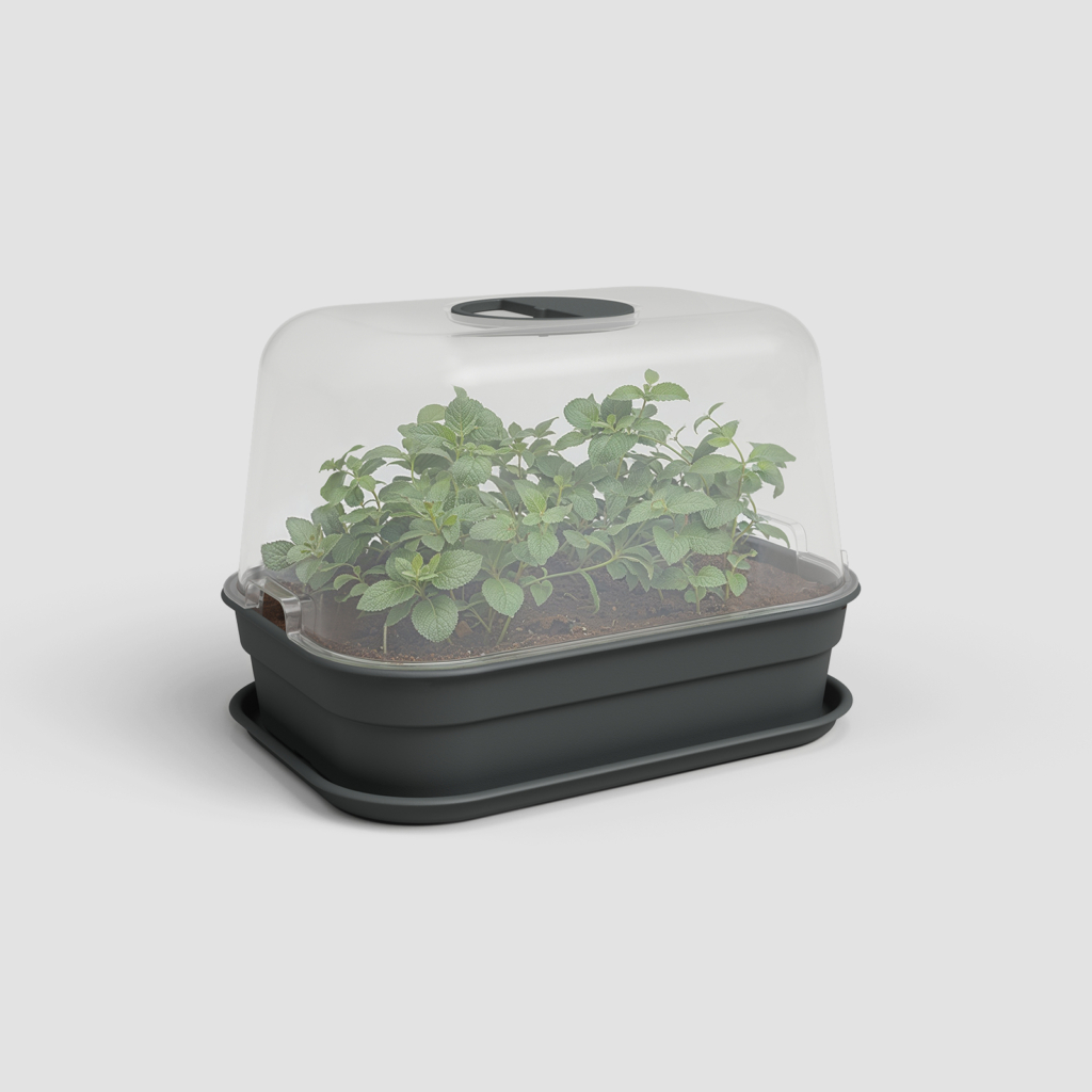 rug post 14 mini greenhouse